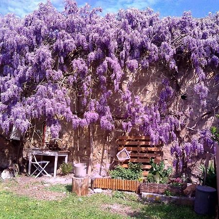 Le Clos Vicq-sur-Gartempe Luaran gambar